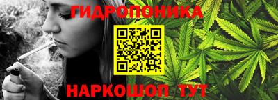 Альфа ПВП Беслан