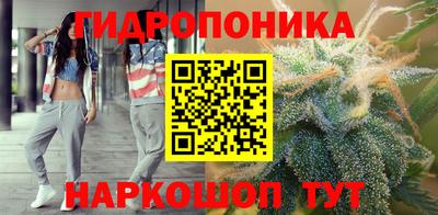 спайс Берёзовский