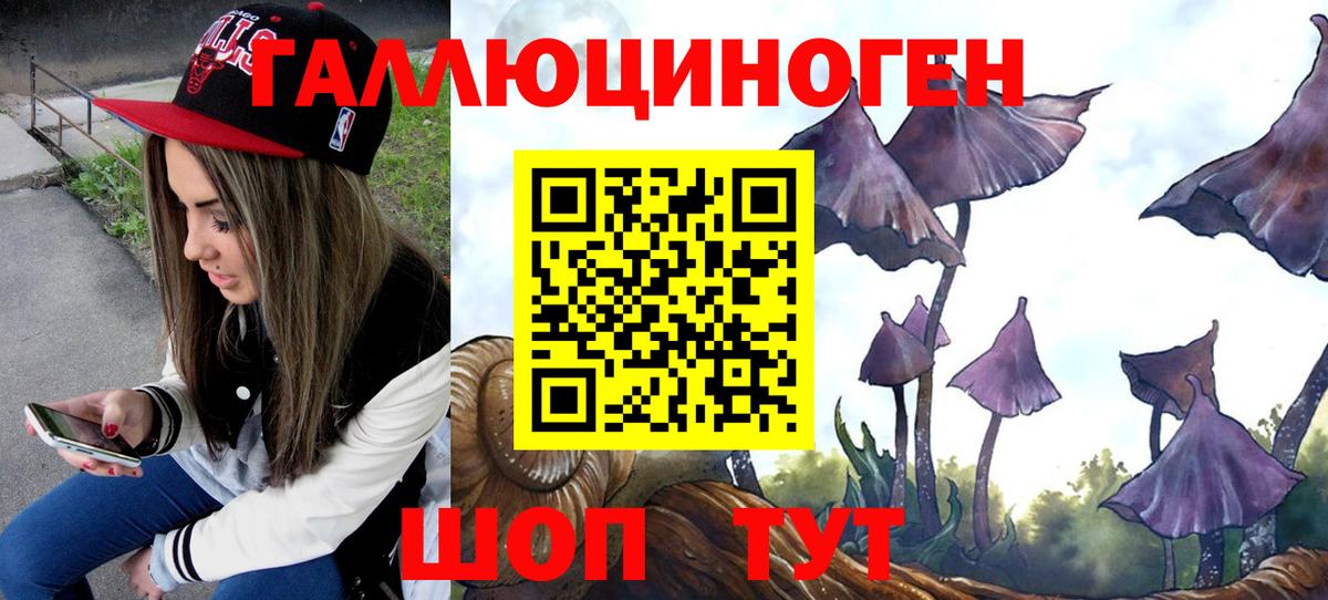 Галлюциногенные грибы MAGIC MUSHROOMS  Вход с VPN  Кизилюрт 